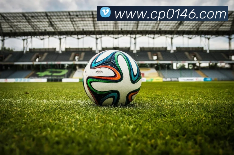 大发彩票平台生态图